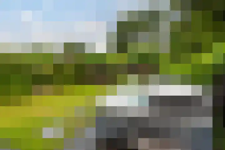 Oude Telgterweg 10 Ermelo thumbnail 45