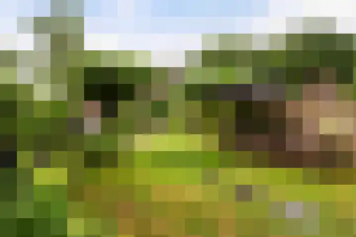 Oude Telgterweg 10 Ermelo thumbnail 46