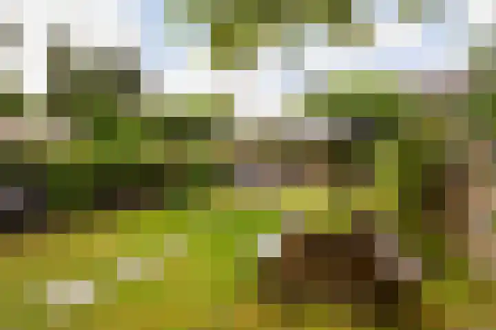 Oude Telgterweg 10 Ermelo thumbnail 47