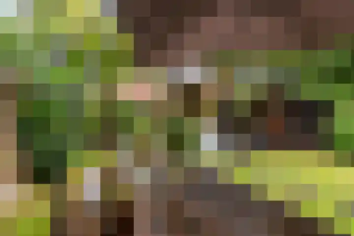 Oude Telgterweg 10 Ermelo thumbnail 48