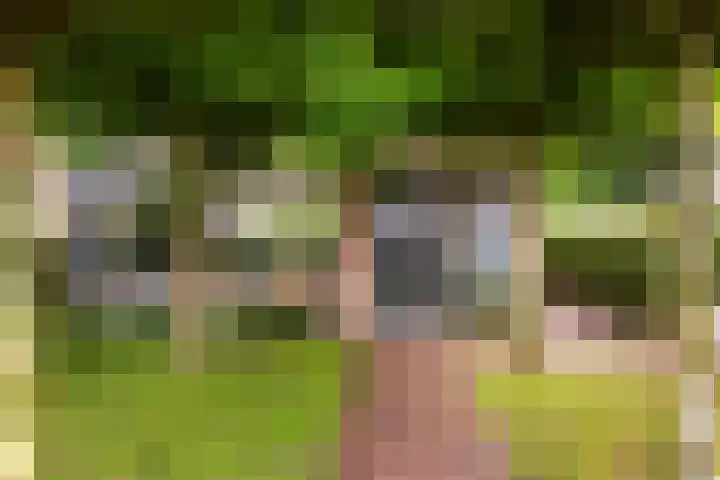 Oude Telgterweg 10 Ermelo thumbnail 5