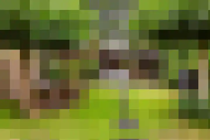 Oude Telgterweg 10 Ermelo thumbnail 52