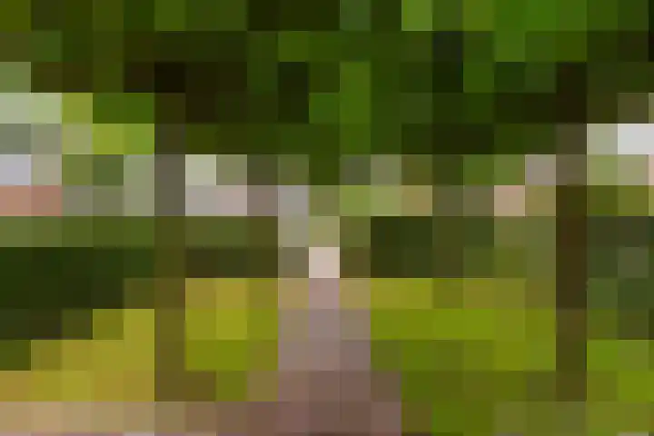 Oude Telgterweg 10 Ermelo thumbnail 53