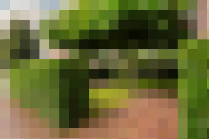 Oude Telgterweg 10 Ermelo thumbnail 54