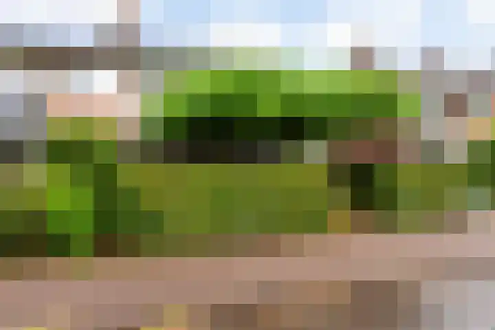 Oude Telgterweg 10 Ermelo thumbnail 55