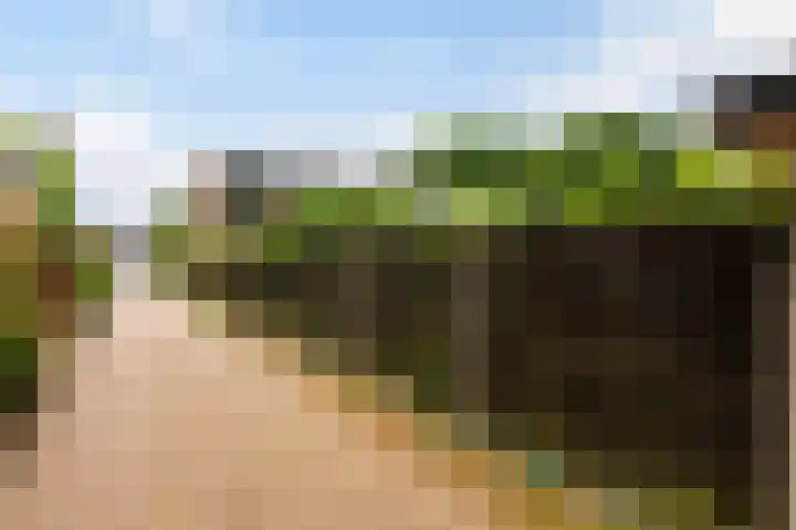 Oude Telgterweg 10 Ermelo thumbnail 56