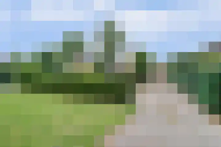 Oude Telgterweg 198 A Ermelo thumbnail 52