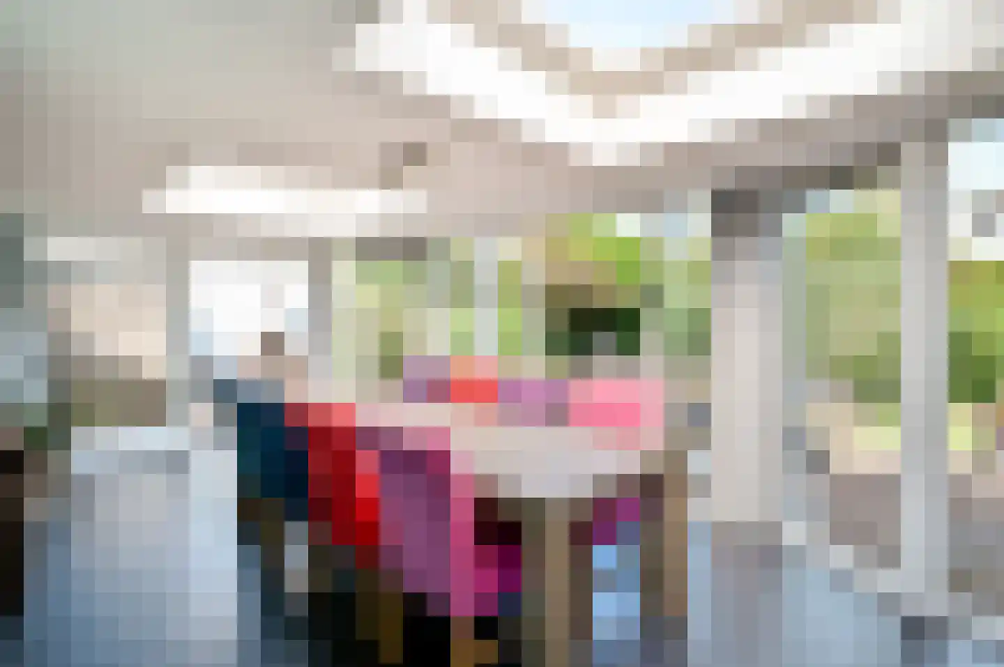 Oude Telgterweg 204 Ermelo thumbnail 18
