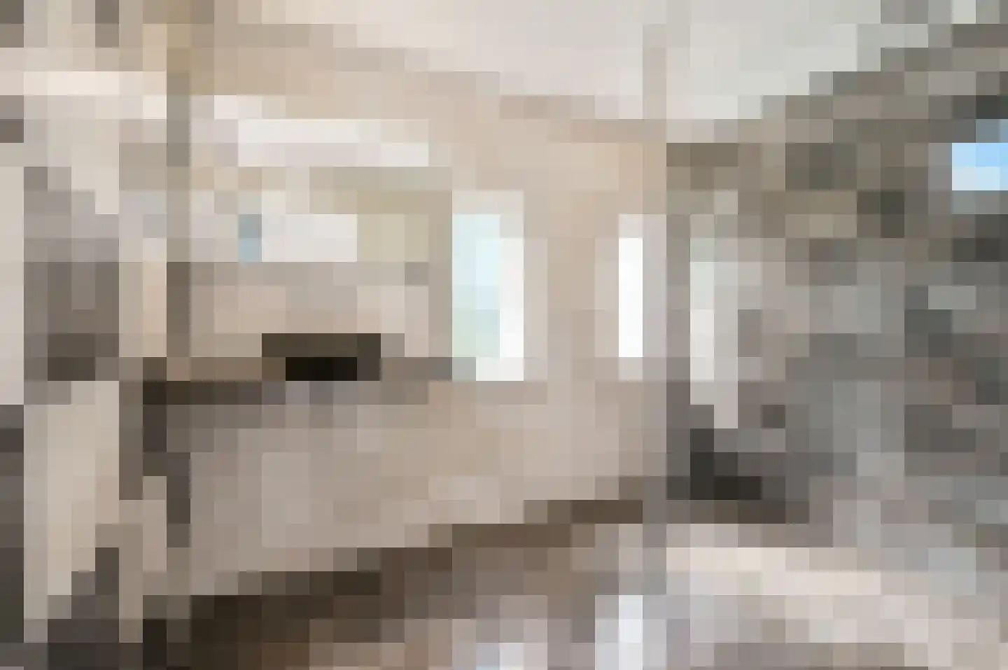Oude Telgterweg 204 Ermelo thumbnail 28