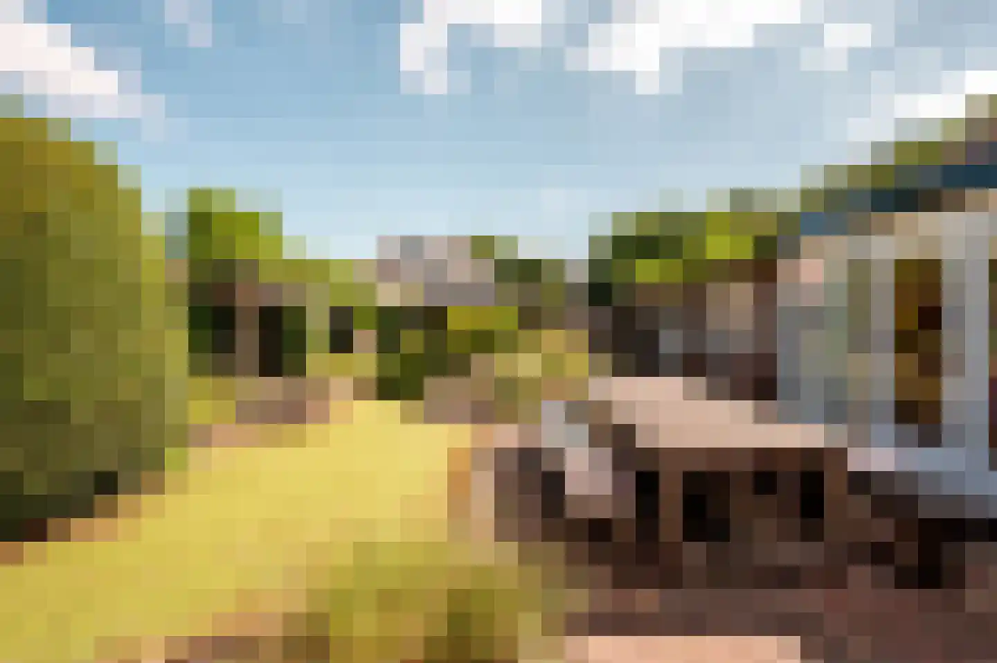 Oude Telgterweg 204 Ermelo thumbnail 43
