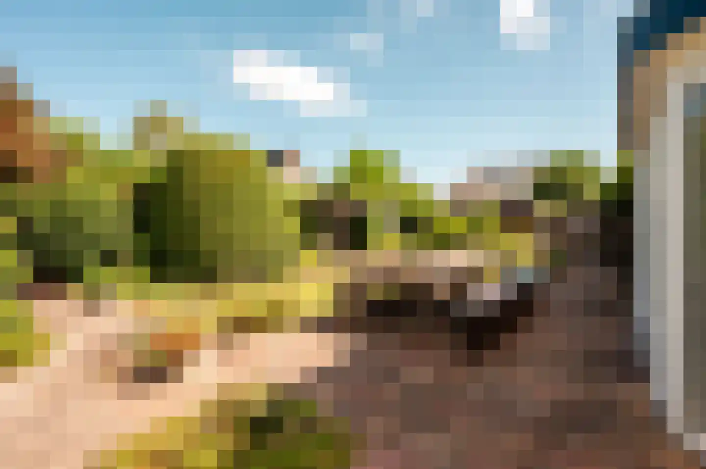 Oude Telgterweg 204 Ermelo thumbnail 44