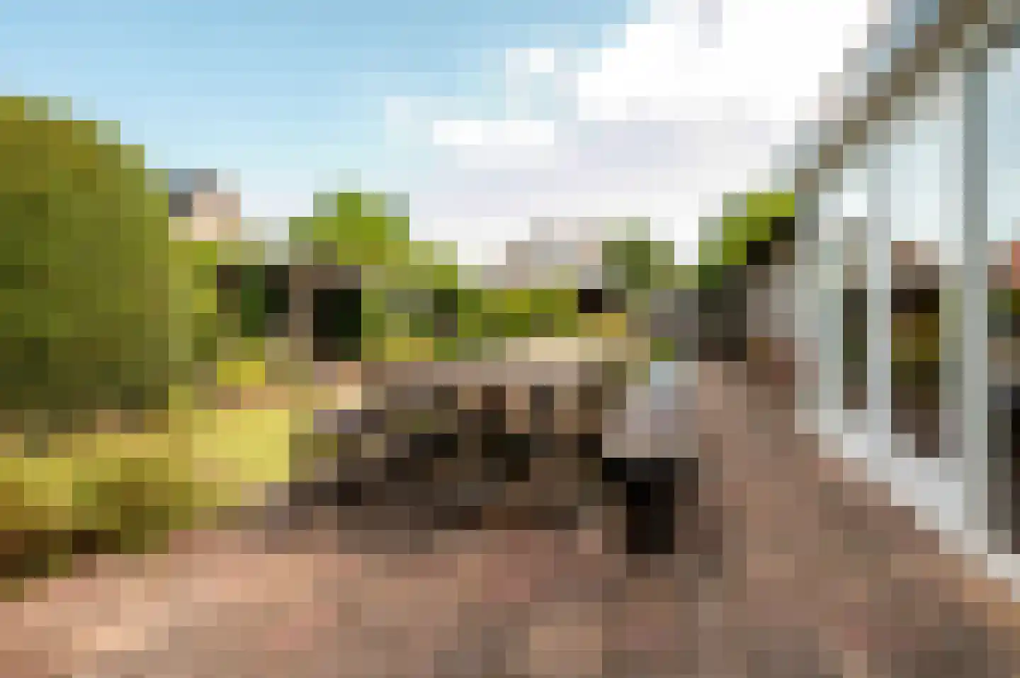 Oude Telgterweg 204 Ermelo thumbnail 45