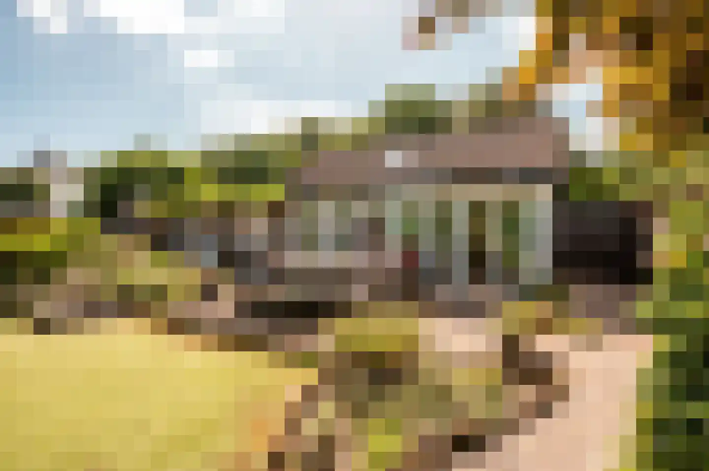 Oude Telgterweg 204 Ermelo thumbnail 46