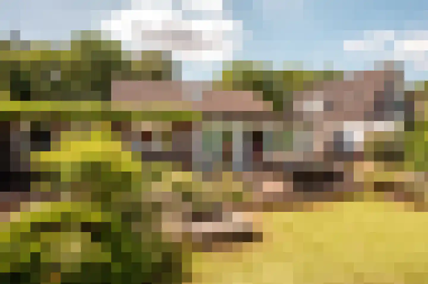 Oude Telgterweg 204 Ermelo thumbnail 48