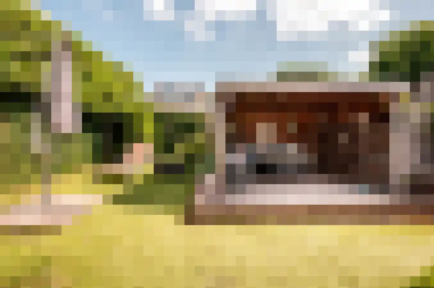 Oude Telgterweg 204 Ermelo thumbnail 49
