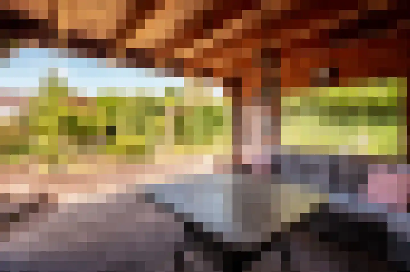 Oude Telgterweg 204 Ermelo thumbnail 51