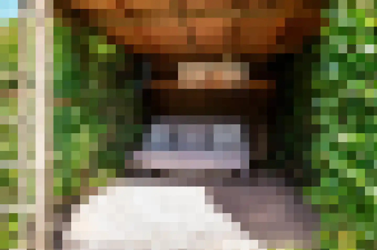 Oude Telgterweg 204 Ermelo thumbnail 52