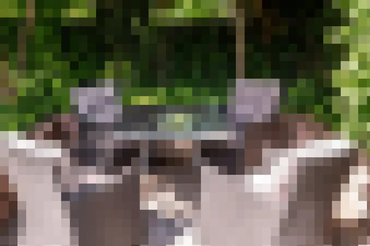 Oude Telgterweg 204 Ermelo thumbnail 53