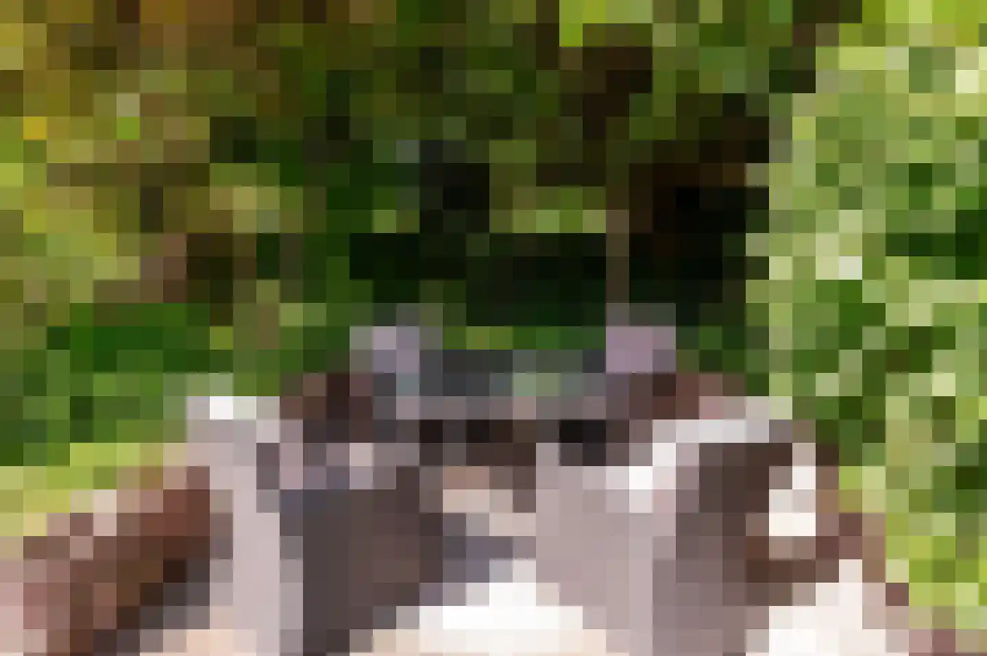 Oude Telgterweg 204 Ermelo thumbnail 54