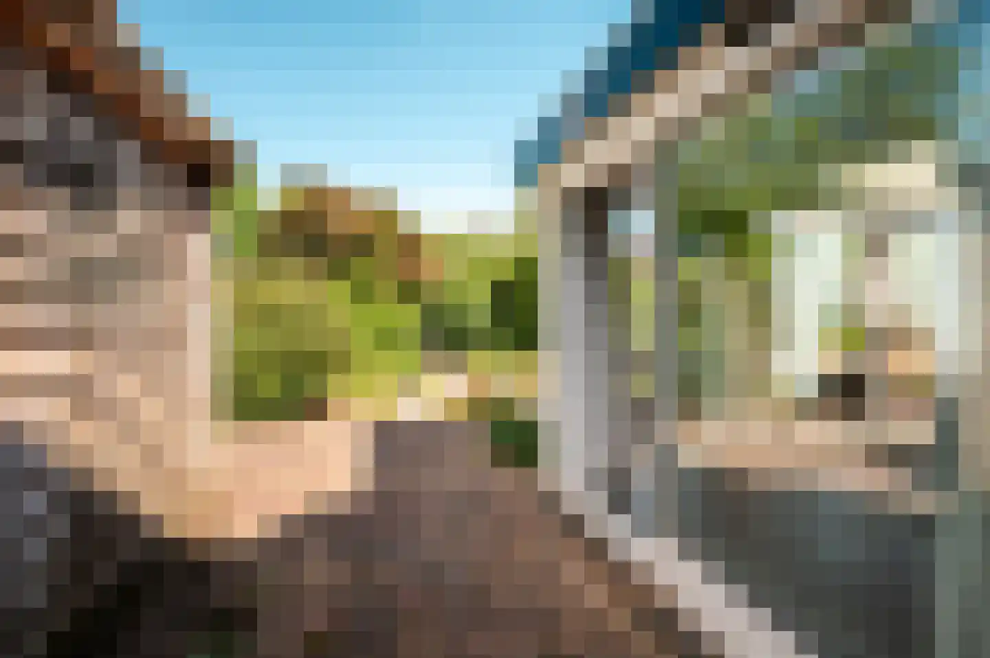 Oude Telgterweg 204 Ermelo thumbnail 55