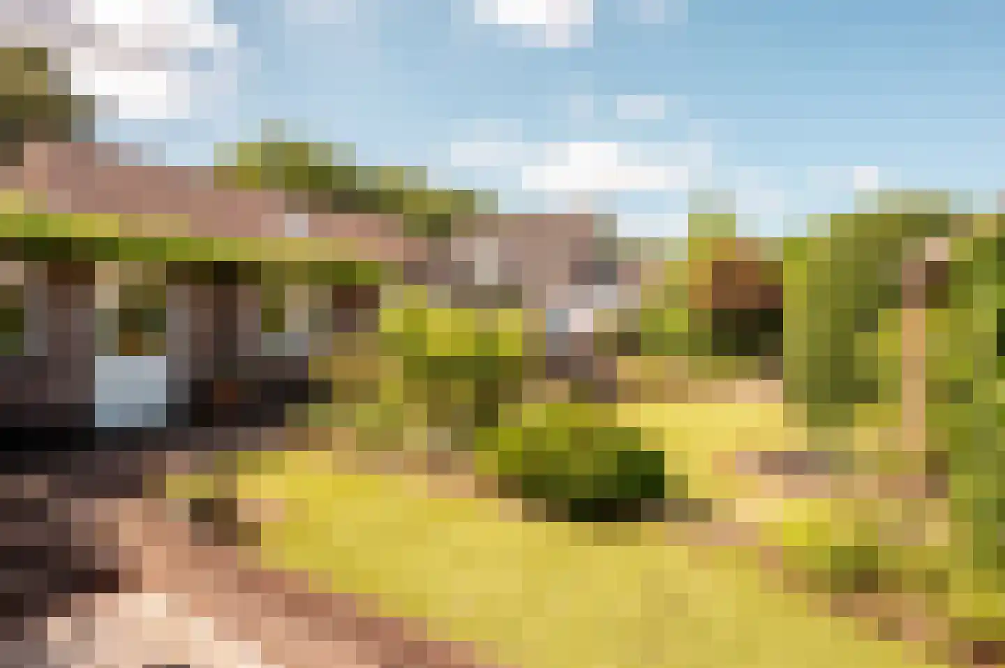 Oude Telgterweg 204 Ermelo thumbnail 56