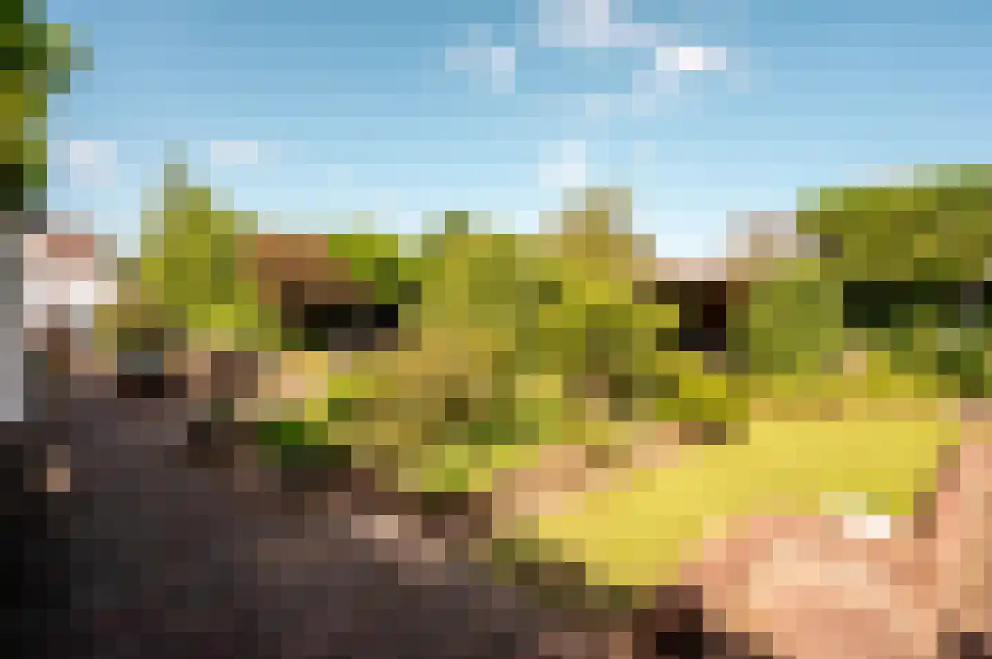 Oude Telgterweg 204 Ermelo thumbnail 57