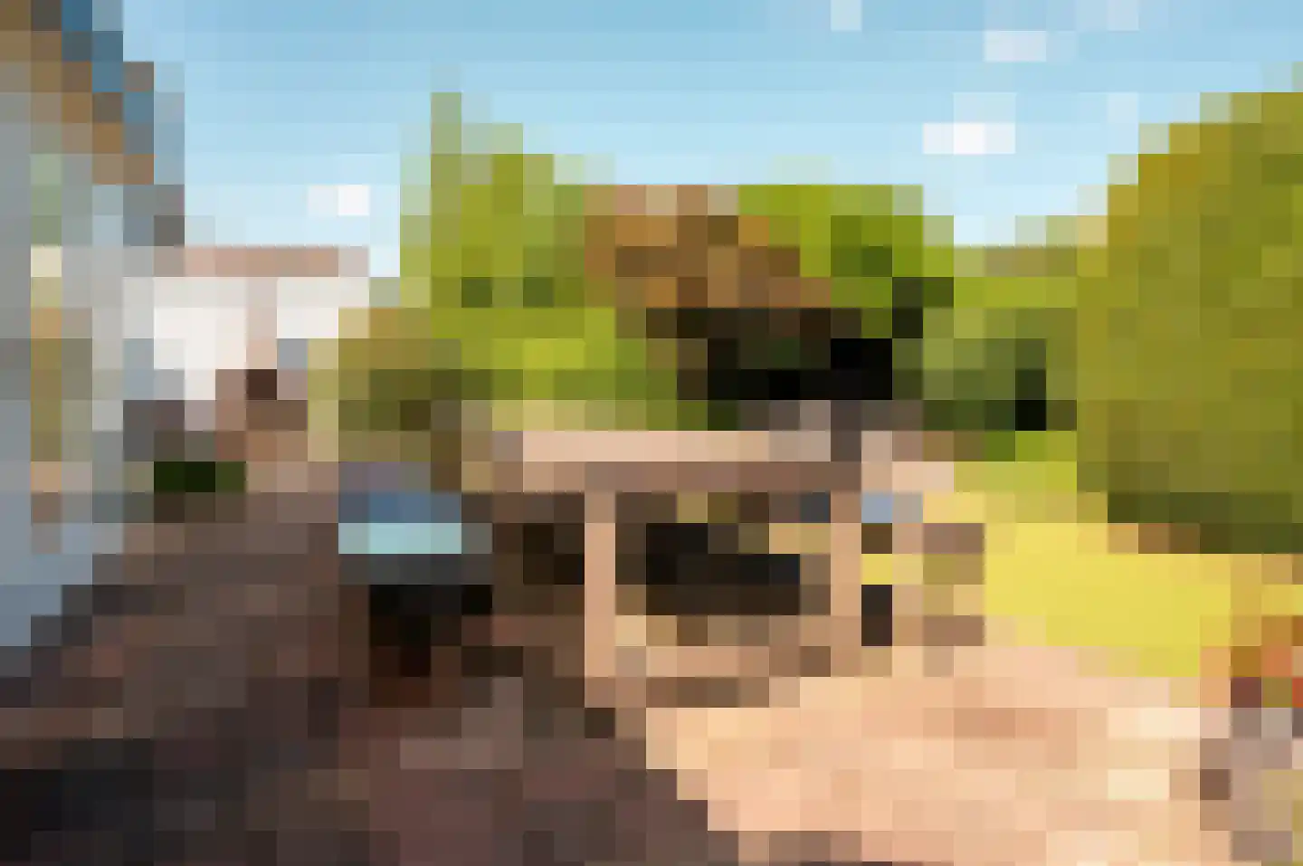 Oude Telgterweg 204 Ermelo thumbnail 58