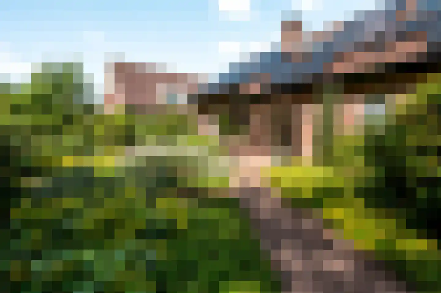 Oude Telgterweg 204 Ermelo thumbnail 66