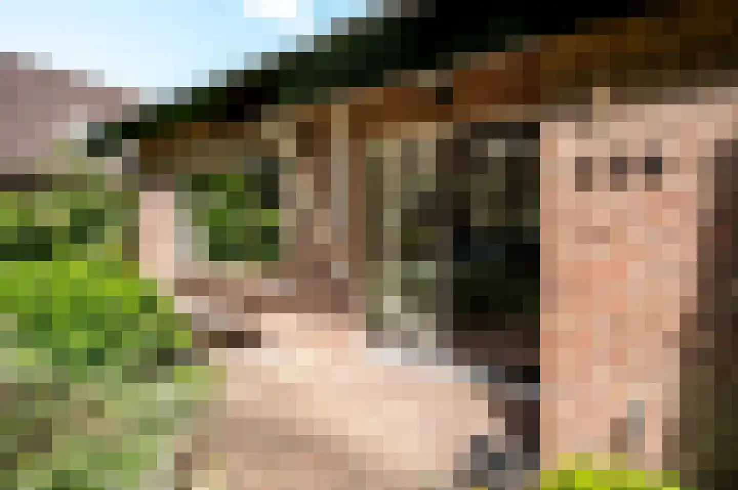 Oude Telgterweg 204 Ermelo thumbnail 67