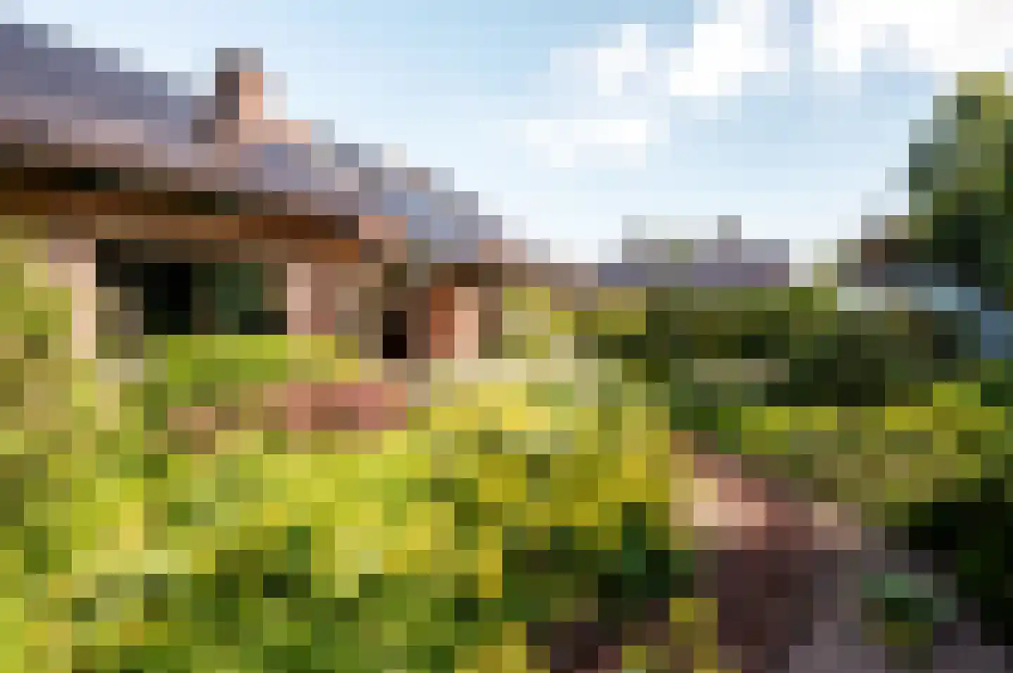 Oude Telgterweg 204 Ermelo thumbnail 68