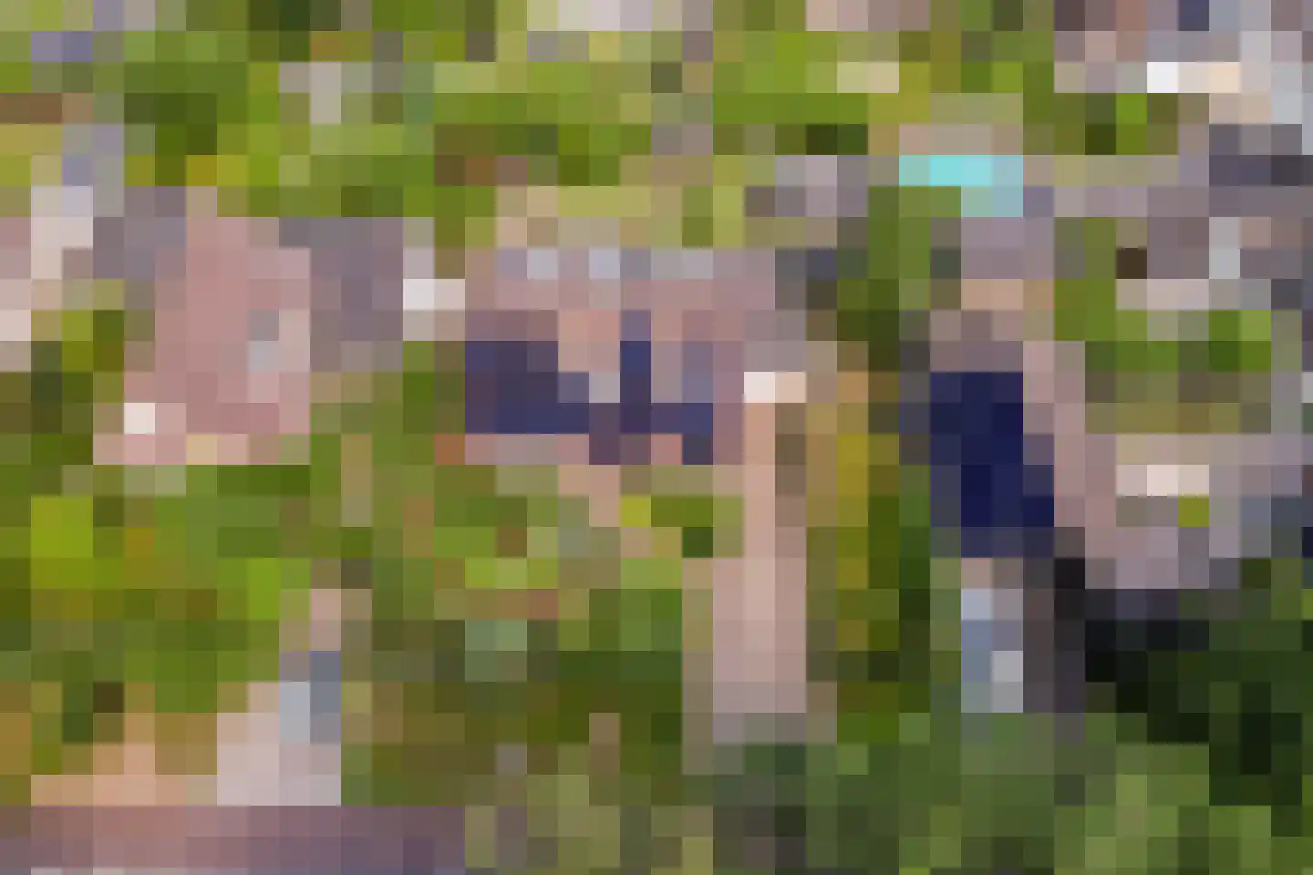 Oude Telgterweg 204 Ermelo thumbnail 69