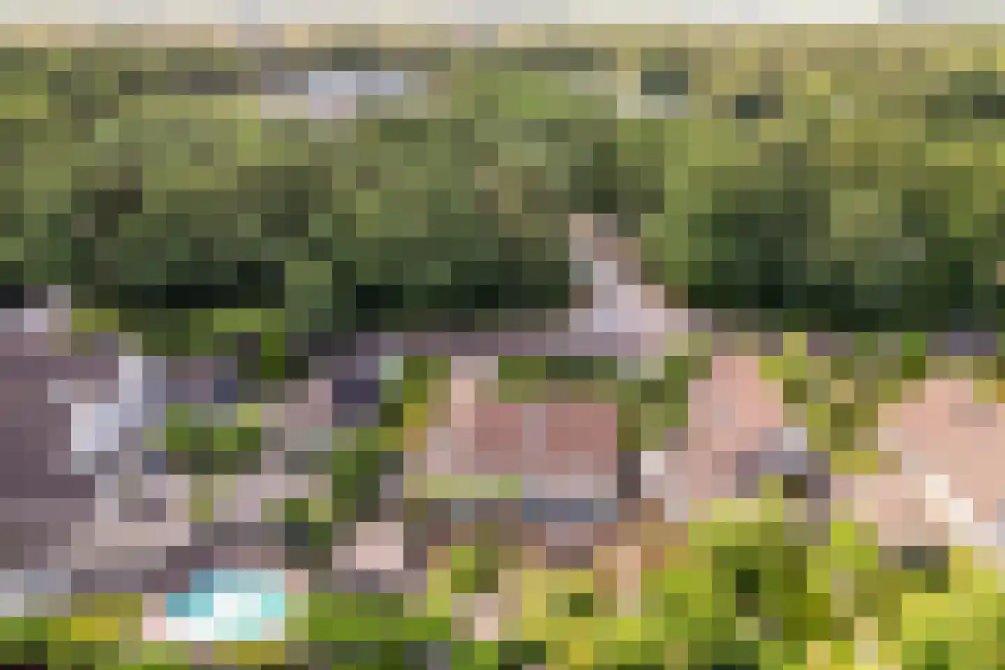 Oude Telgterweg 204 Ermelo thumbnail 70