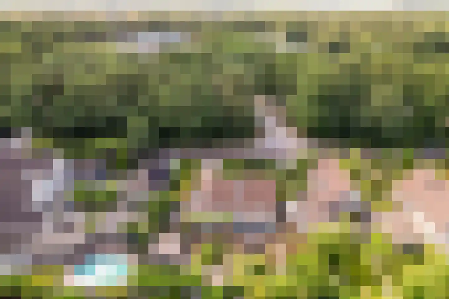 Oude Telgterweg 204 Ermelo thumbnail 71