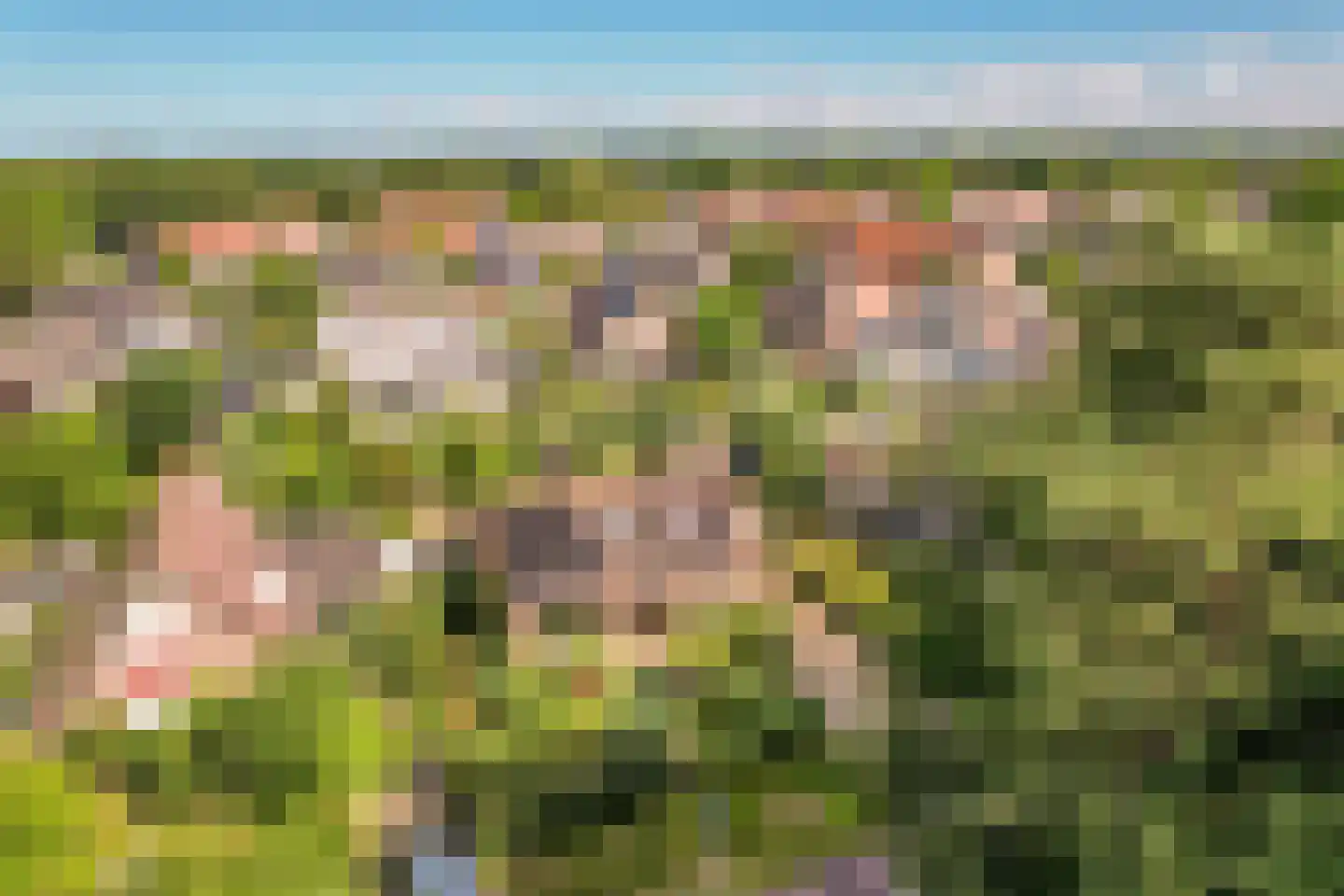 Oude Telgterweg 204 Ermelo thumbnail 72