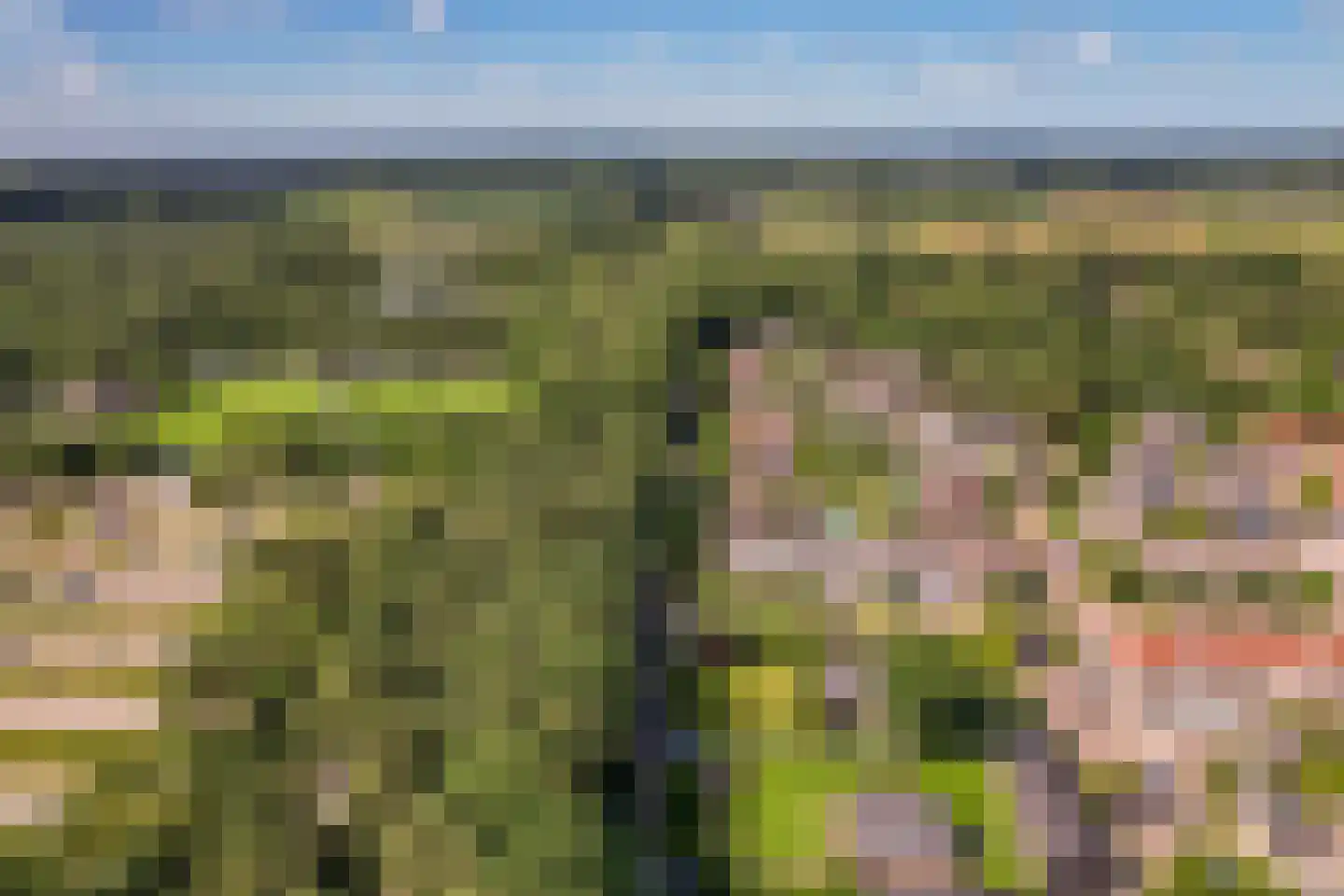 Oude Telgterweg 204 Ermelo thumbnail 73
