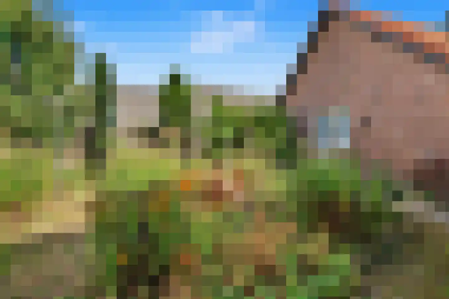 Oude Telgterweg 58 Ermelo thumbnail 26