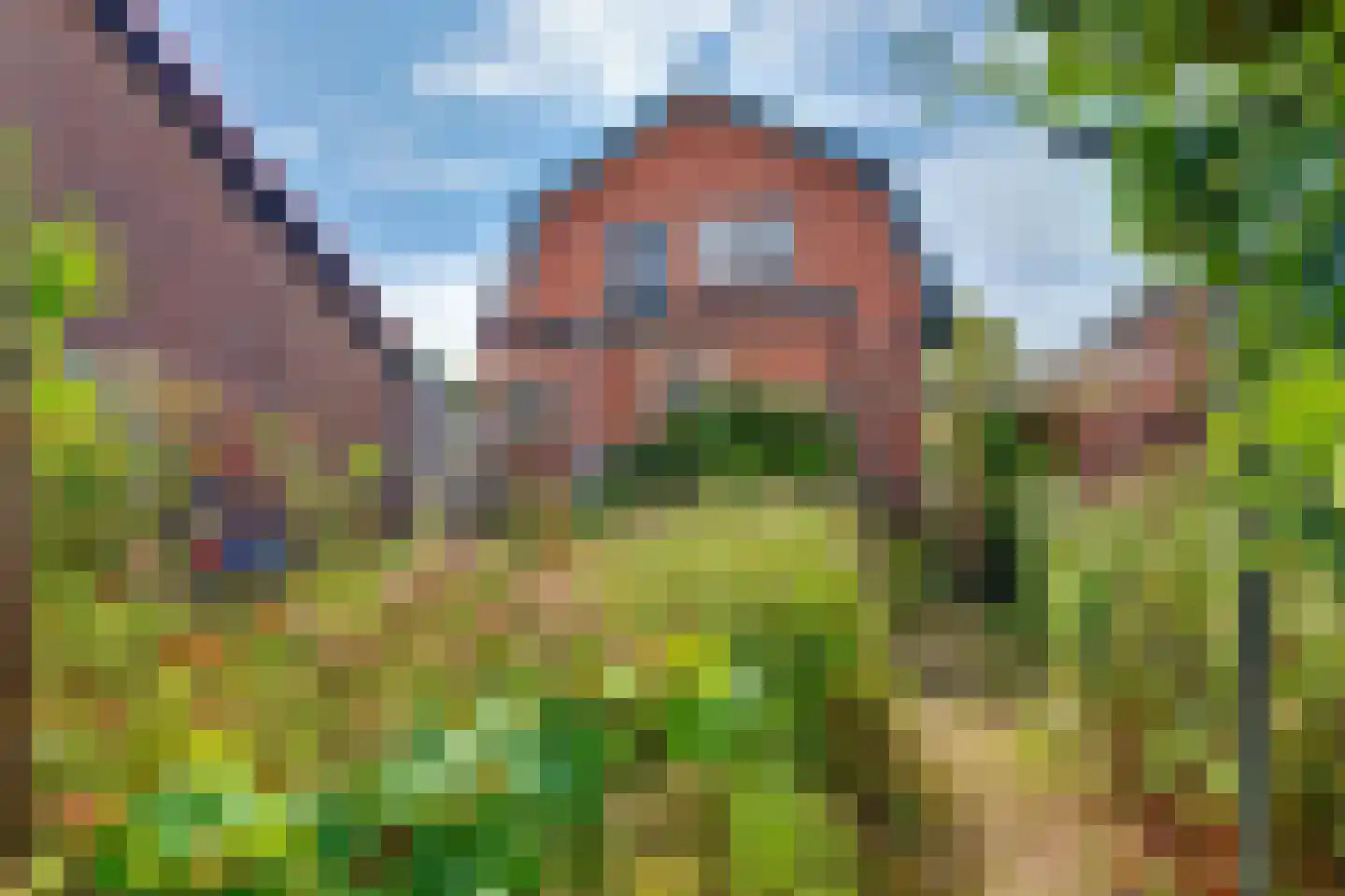 Oude Telgterweg 58 Ermelo thumbnail 28