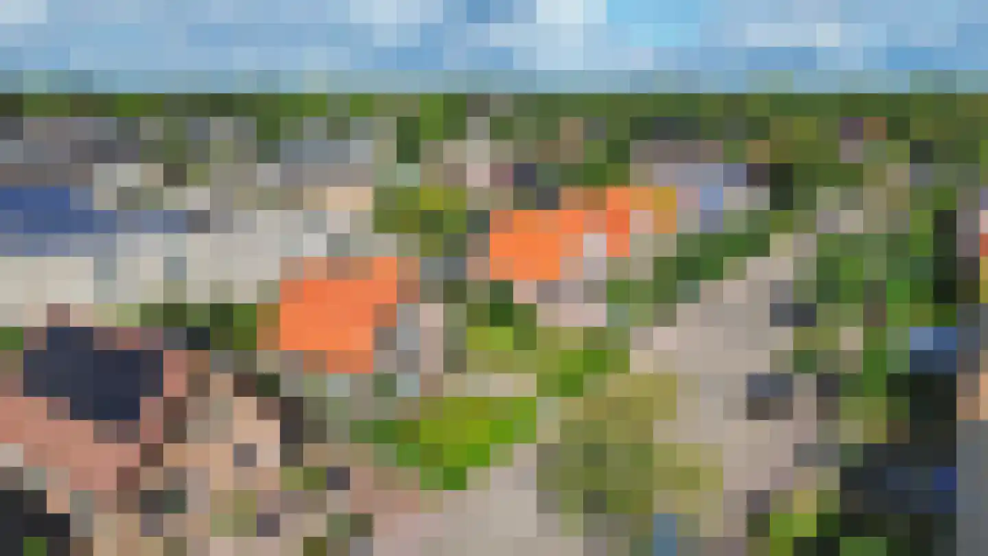 Oude Telgterweg 58 Ermelo thumbnail 31