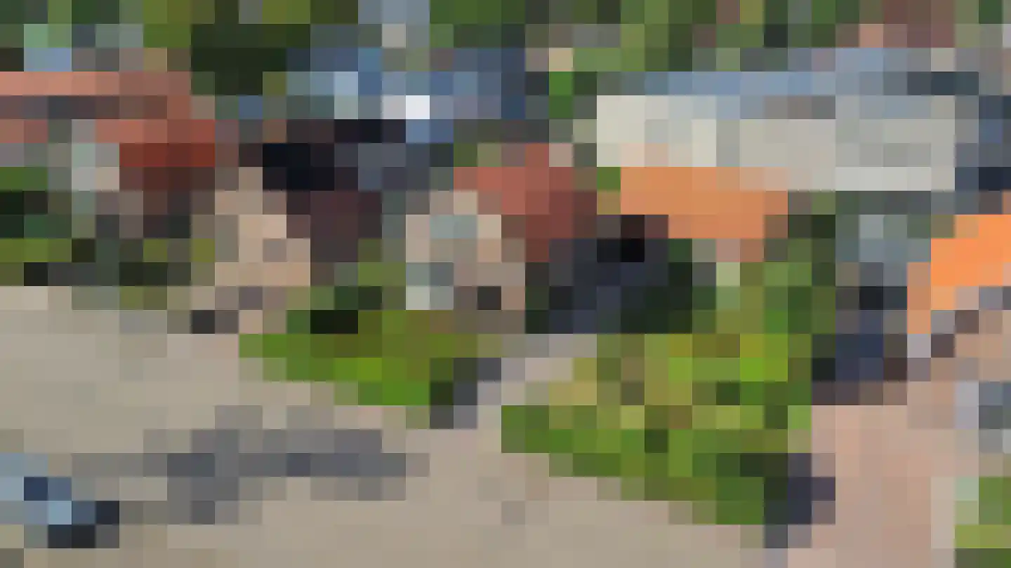 Oude Telgterweg 58 Ermelo thumbnail 32