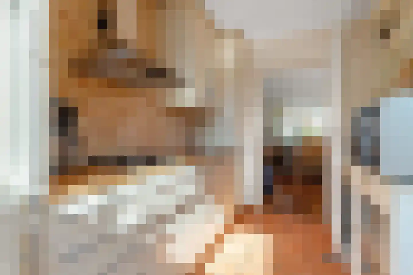 Oude Telgterweg 89 B Ermelo thumbnail 15