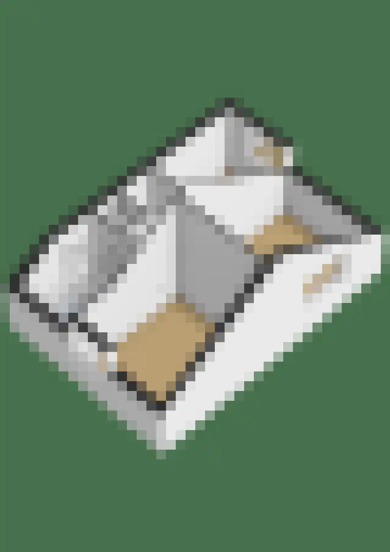 Oude Telgterweg 89 B Ermelo thumbnail 37