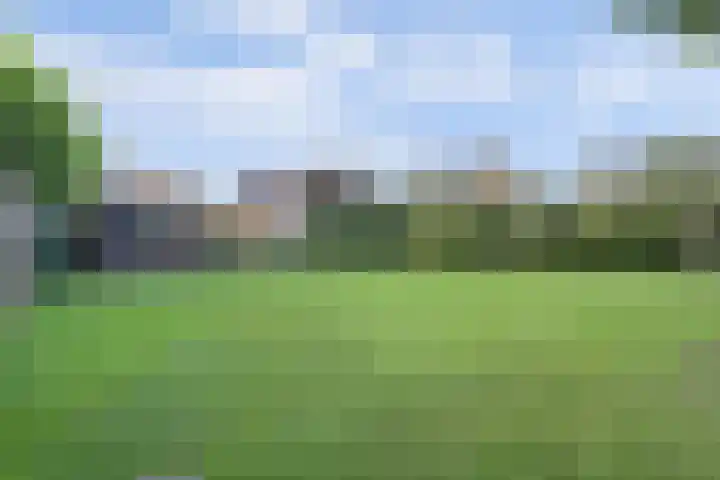 Oude Telgterweg 92 Ermelo thumbnail 43