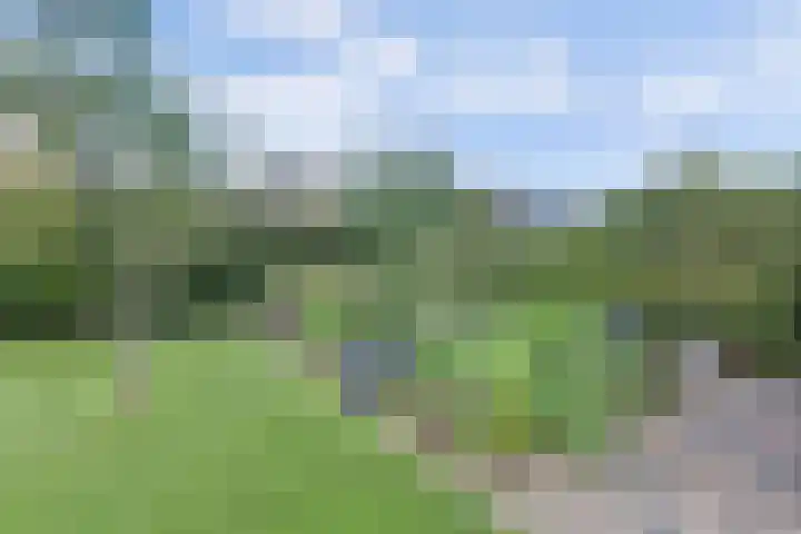 Oude Telgterweg 92 Ermelo thumbnail 45