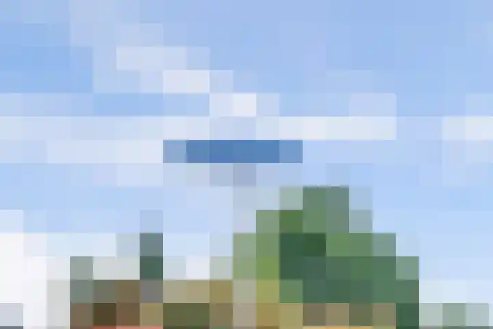 Oude Telgterweg 92 Ermelo thumbnail 6