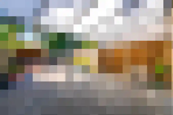 Oude Tempellaan 42 Soesterberg thumbnail 28