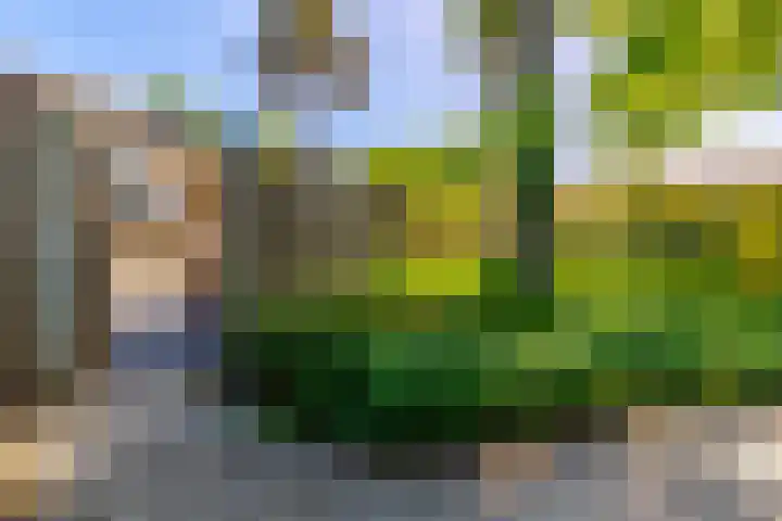 Oude Tempellaan 42 Soesterberg thumbnail 31