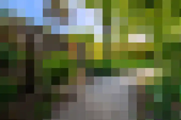 Oude Tempellaan 42 Soesterberg thumbnail 32