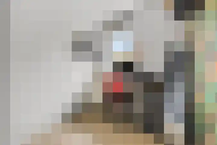 Oude Tempellaan 58 Soesterberg thumbnail 25