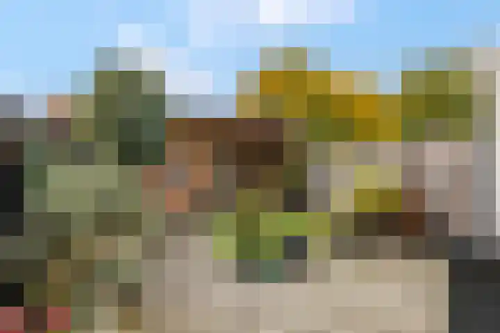 Oude Tempellaan 58 Soesterberg thumbnail 39