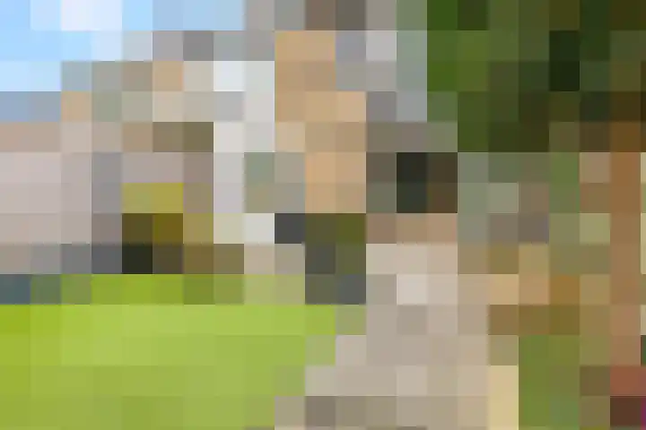 Oude Tempellaan 58 Soesterberg thumbnail 44